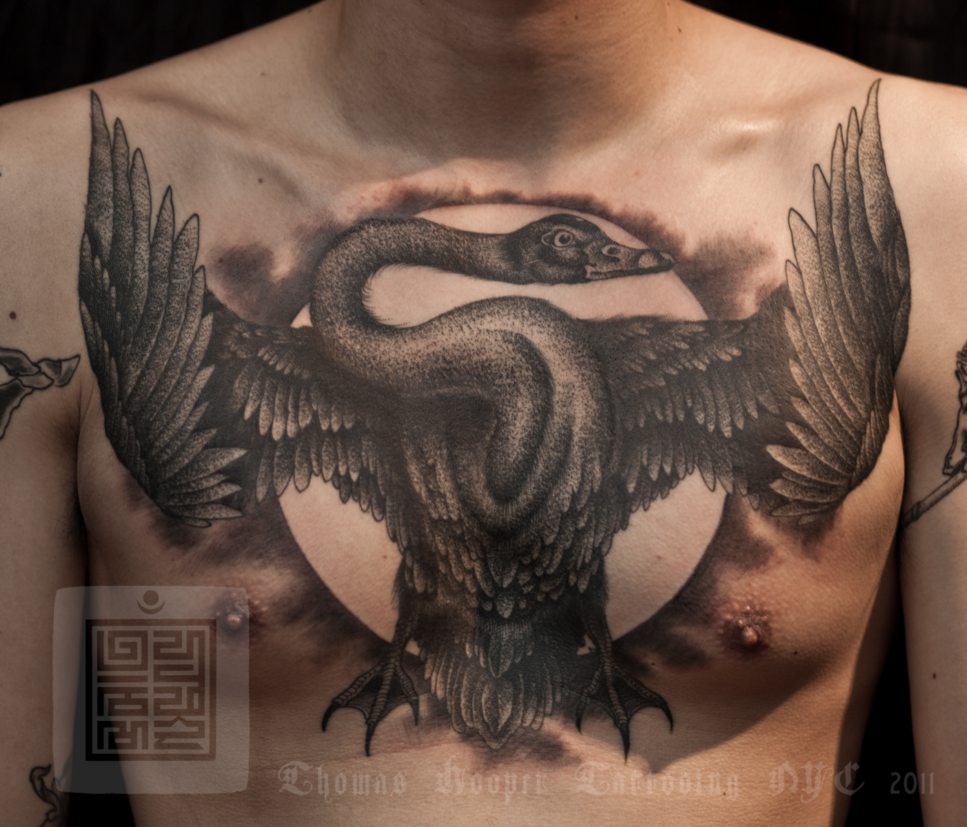 black swan tattoo images. Black Swan – New Moon